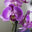logo of Buy Orchids Online – Hawaii Grown Orchids for Sale | HI Orchids
 – Aloha Hawaii Orchids